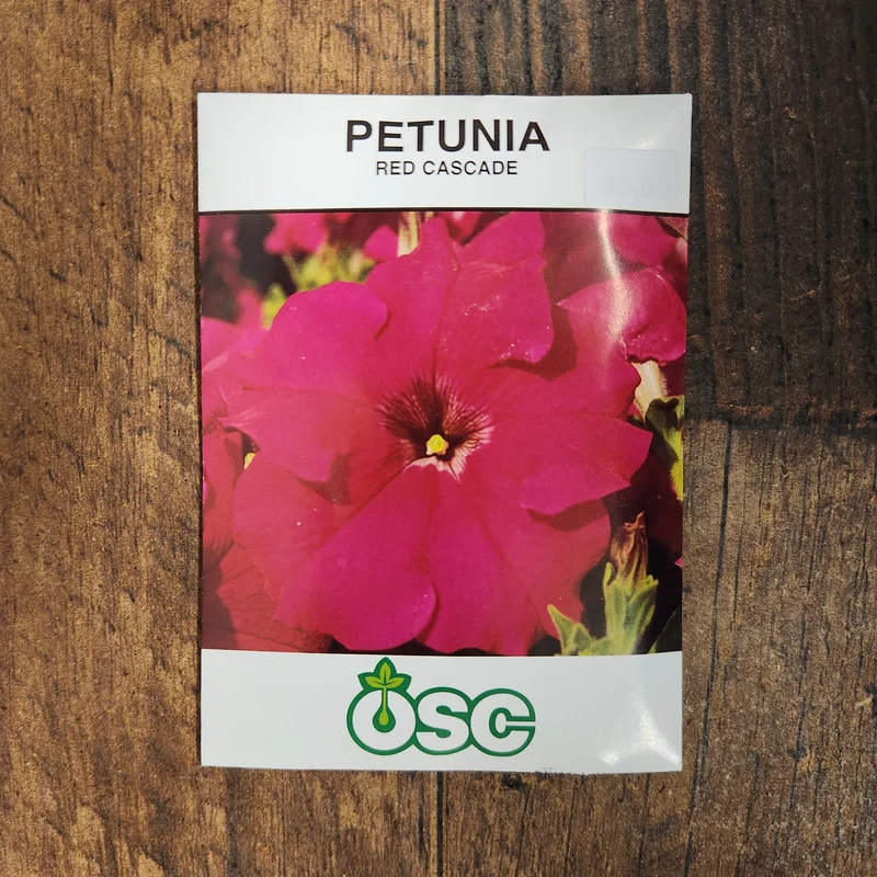 Pétunia cascade 'Red'