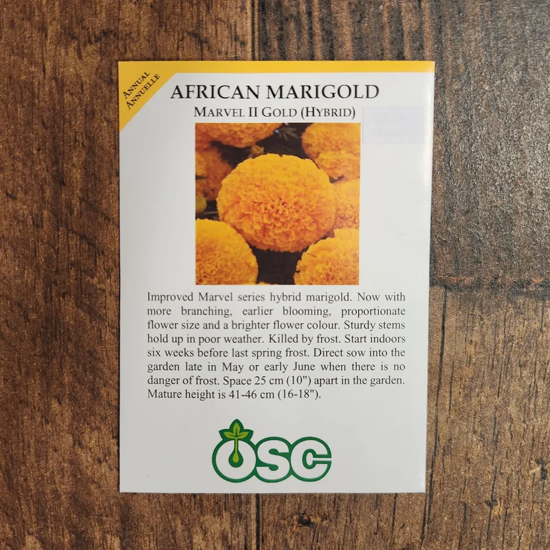 Oeillet d'Inde 'Marvel Gold'