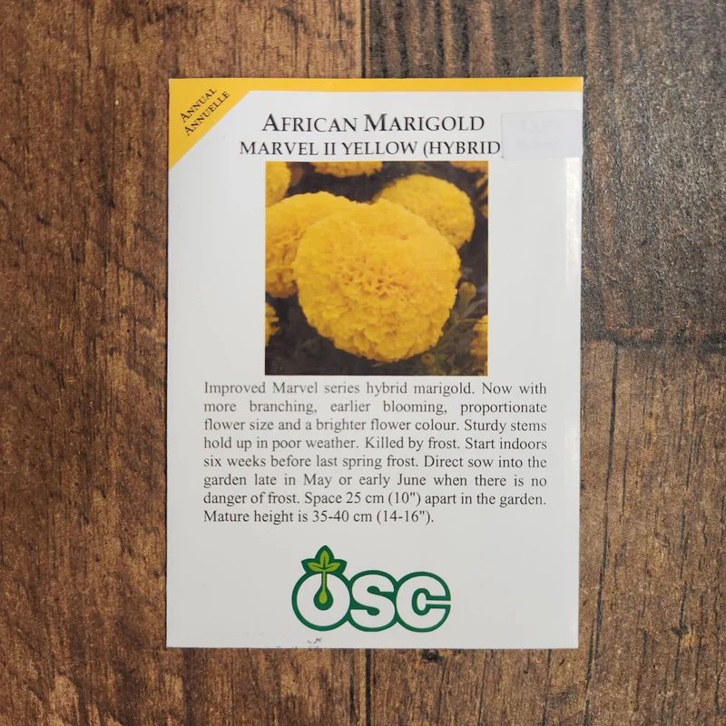 Oeillet d'Inde 'Marvel Yellow'