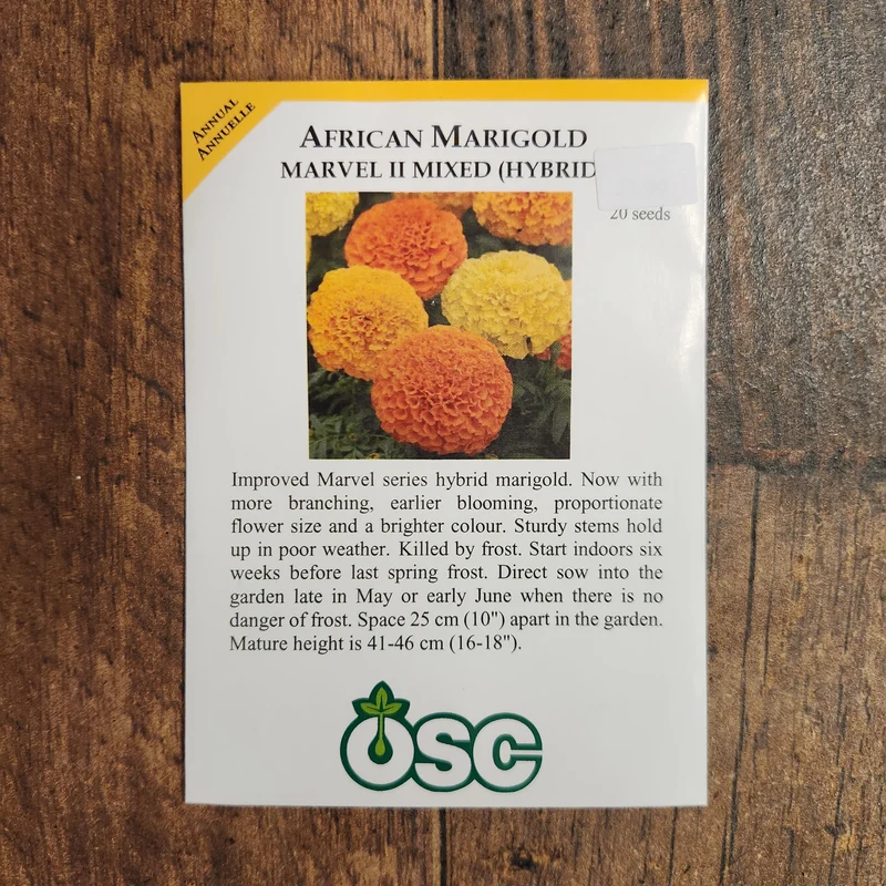 Oeillet d'Inde 'Marvel Mixed'