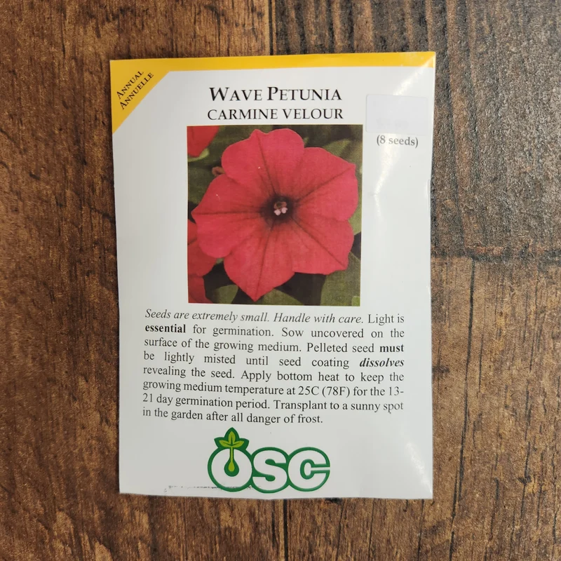 Pétunia Wave 'Carmine Velour'