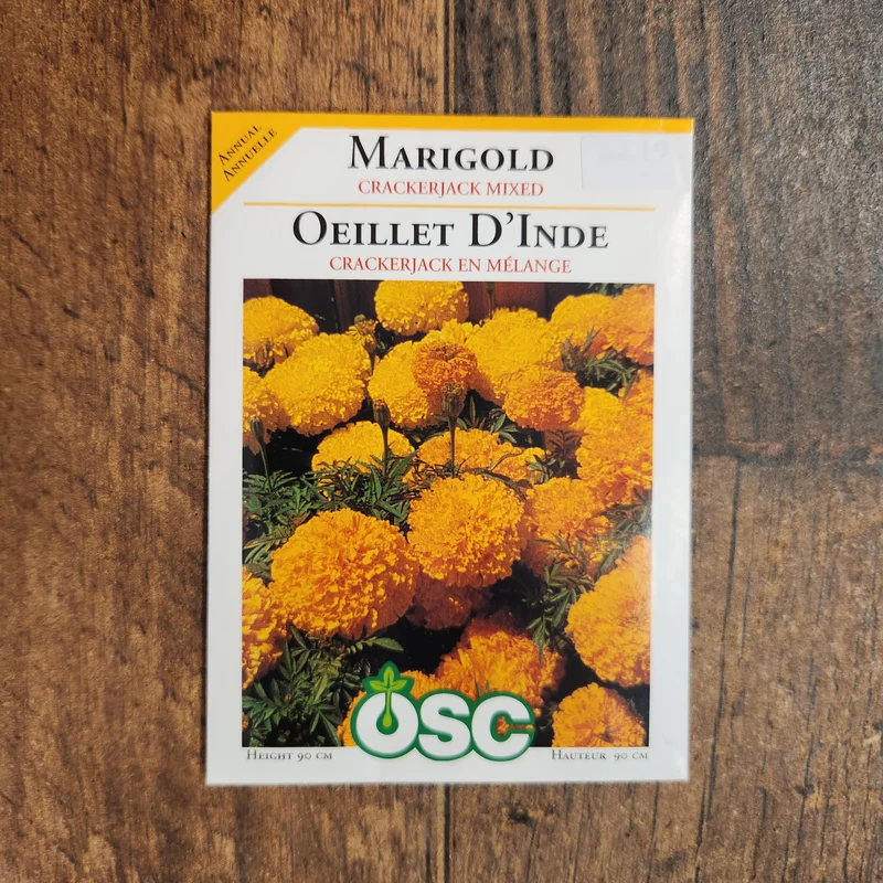 Oeillet d'Inde 'Crackerjack Mixed'