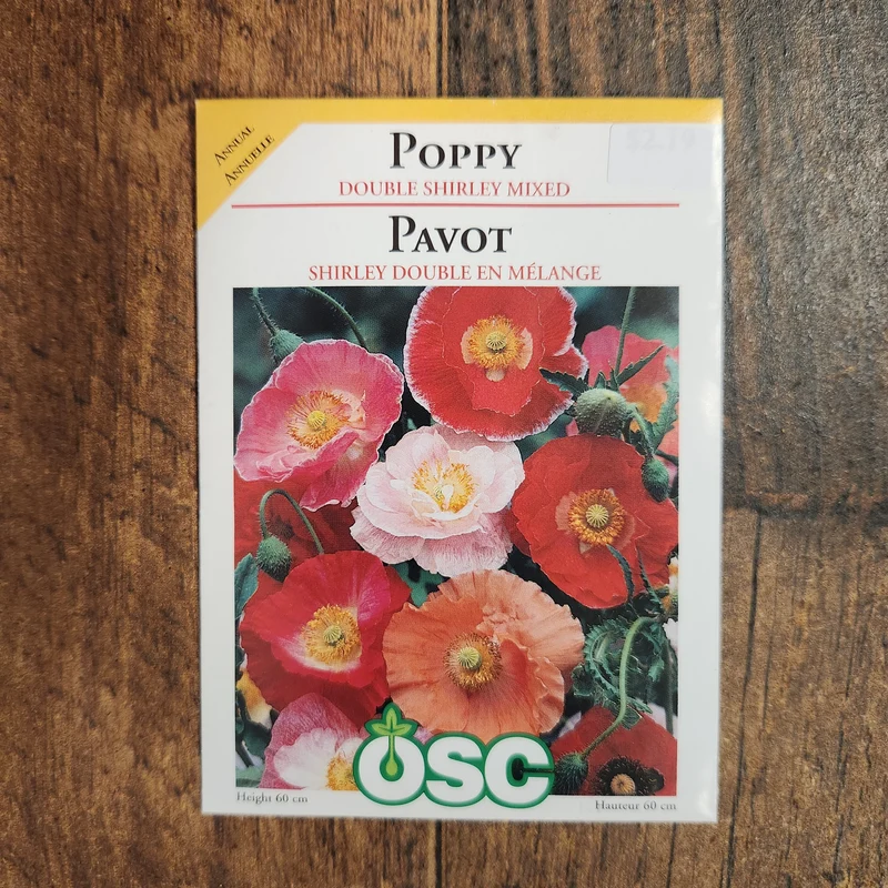 Pavot 'Double Shirley'