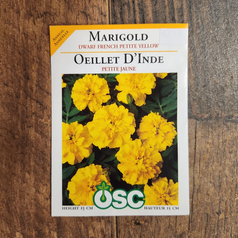 Oeillet d'Inde nain 'French Petite Yellow'