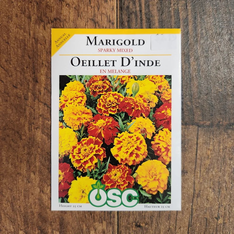 Oeillet d'Inde 'Sparky Mixed'