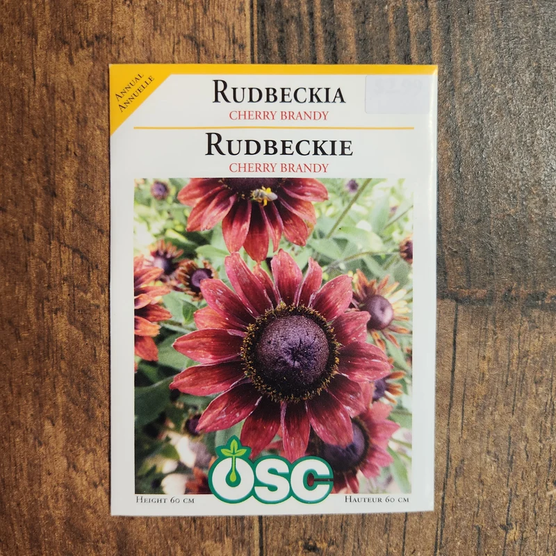 Rudbeckie 'Cherry Brandy'