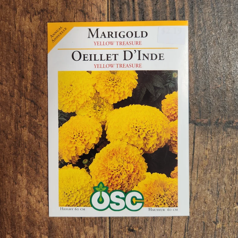 Oeillet d'Inde 'Yellow Treasure'