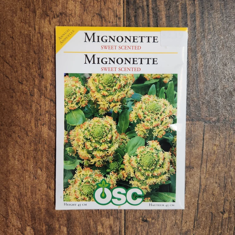 Mignonette 'Parfumée Douce'