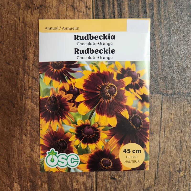 Rudbeckie 'Chocolate-Orange'