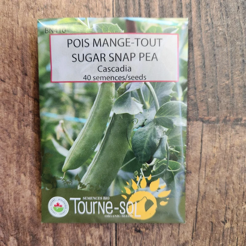 Pois mange-tout ‘Cascadia’ ( Pisum sativum )