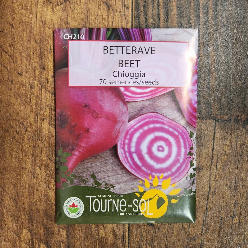 Betterave ‘Chioggia’ ( Beta vulgaris )