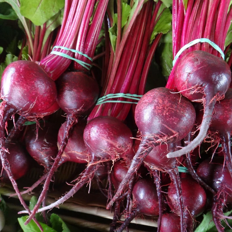 Betterave ' ( Beta vulgaris ‘Detroit Dark Red’)