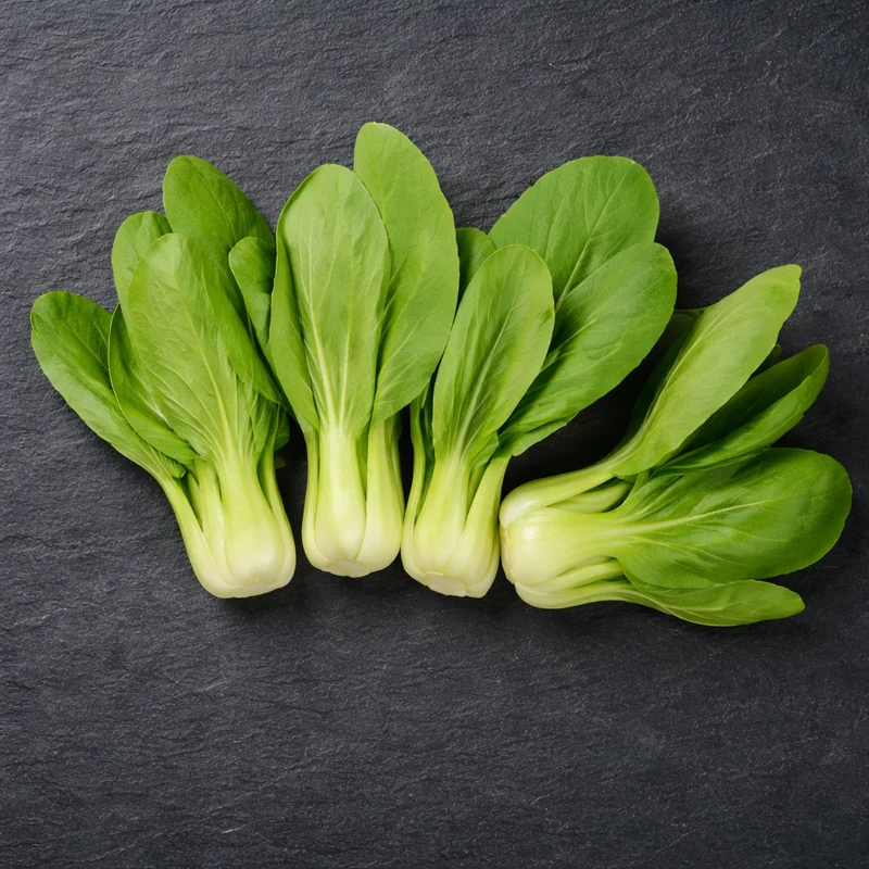 Légume chinois ‘Bok Choy Shanghai’ ( Brassica rapa var. chinensis )