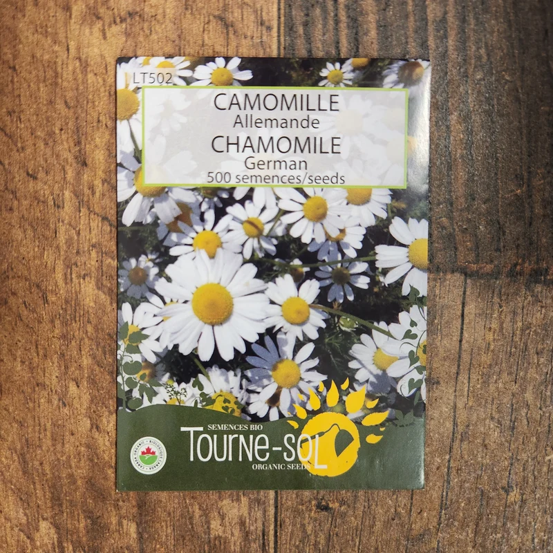 Camomille allemande ( Matricaria chamomilla )