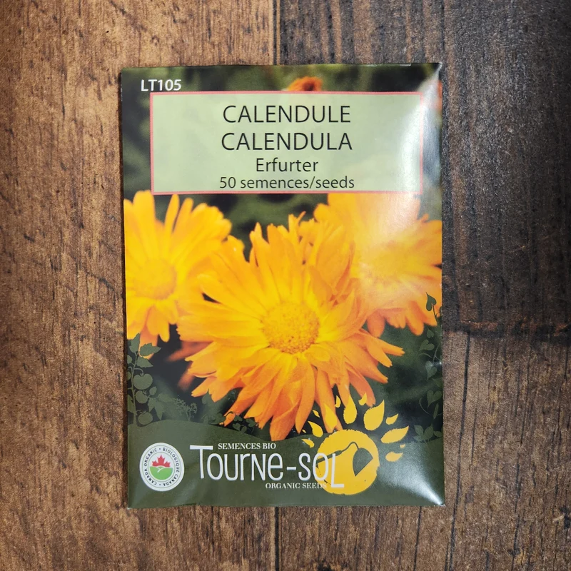 Calendula ‘Erfurter’ ( Calendula officinalis )