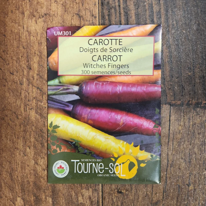 Carotte ‘Doigts de Sorcière’ ( Daucus carota )