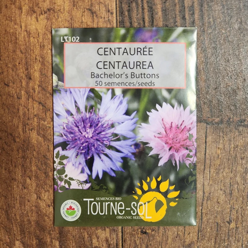 Centaurée ‘Bachelor’s Buttons’ ( Centaurea cyanus )