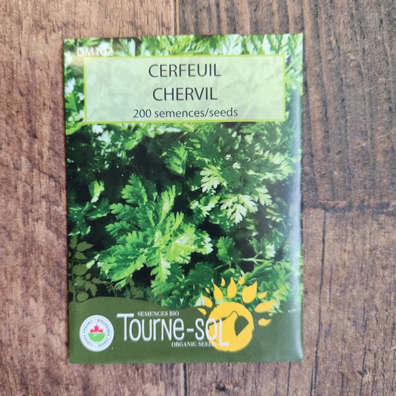 Cerfeuil ( Anthriscus cerefolium )