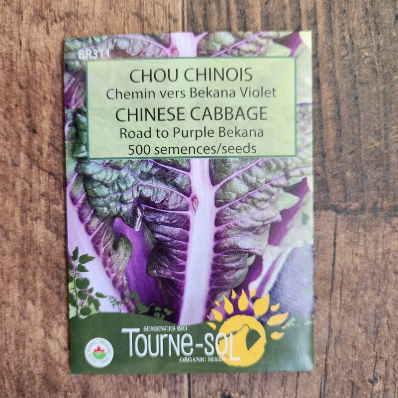 Chou chinois ‘Chemin vers Bekana’ ( Brassica rapa )