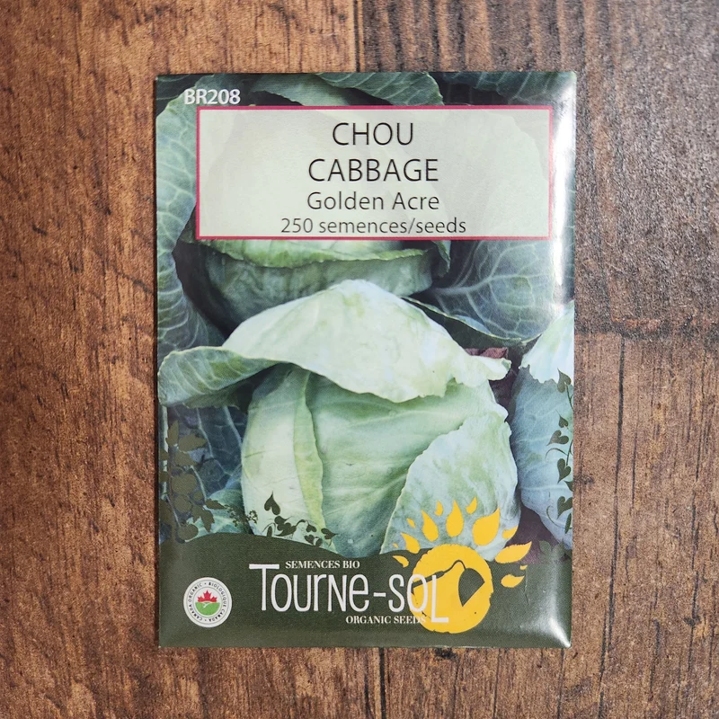 Chou ‘Golden Acre’ ( Brassica oleracea var. capitata )