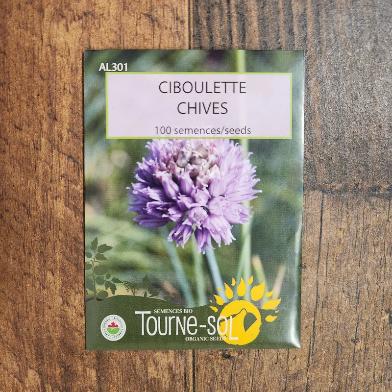 Ciboulette ( Allium schoenoprasum )