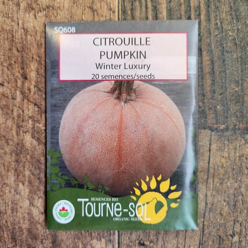 Citrouille ‘Winter Luxury’ ( Cucurbita pepo )