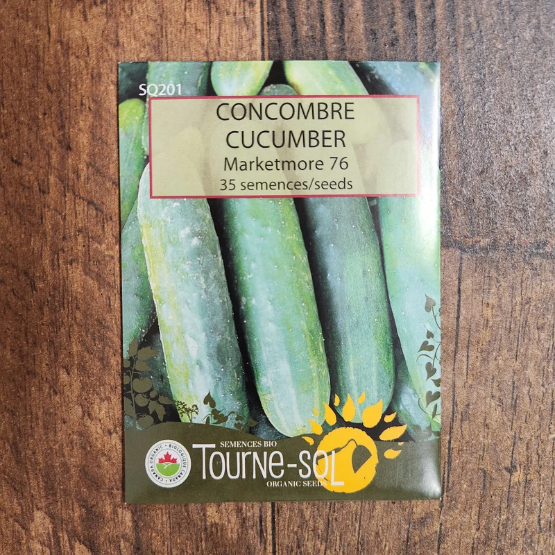 Concombre ‘Marketmore 76’ ( Cucumis sativus )