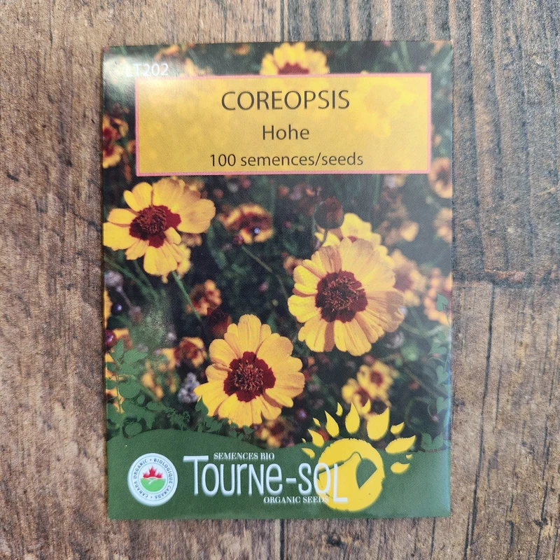 Coreopsis ‘Hohe’ ( Coreopsis tinctoria )