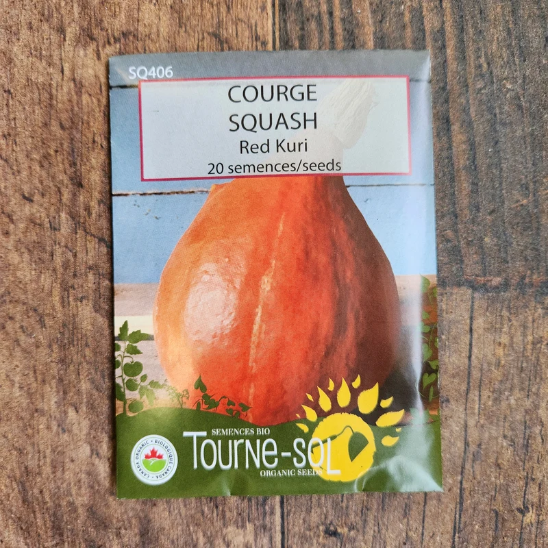Courge ‘Red Kuri’ ( Cucurbita maxima )