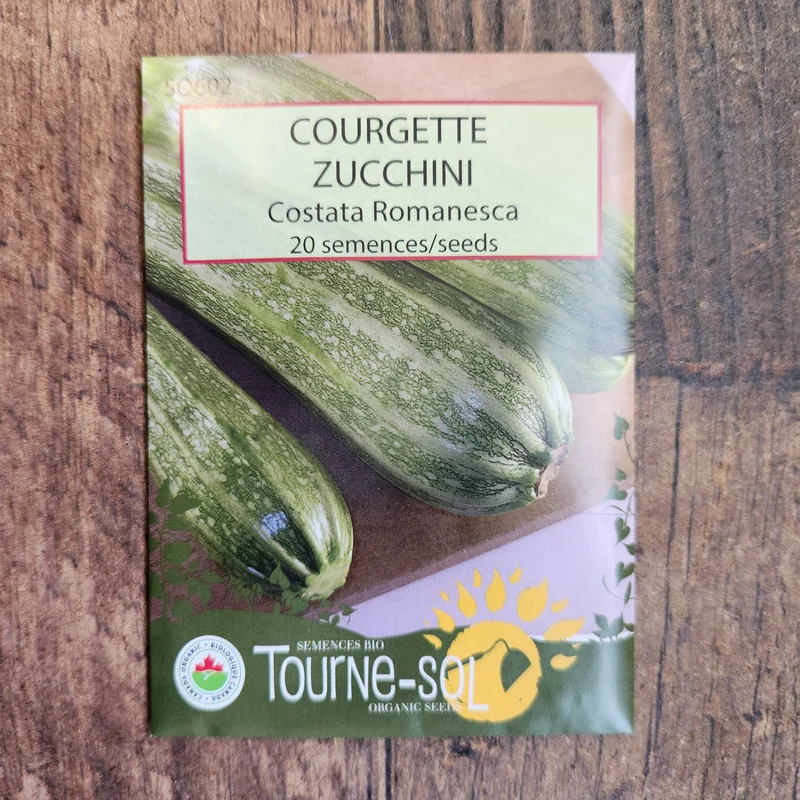 Zucchini ‘Costata Romanesco’ ( Cucurbita pepo )