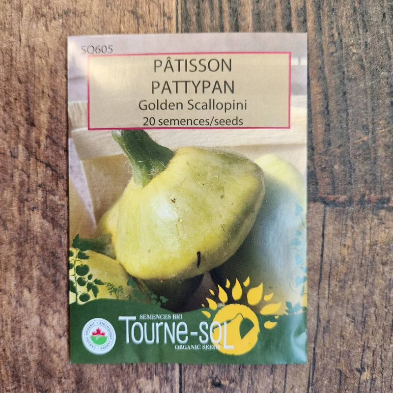 Pâtisson ‘Golden Scallopini’ ( Cucurbita pepo )