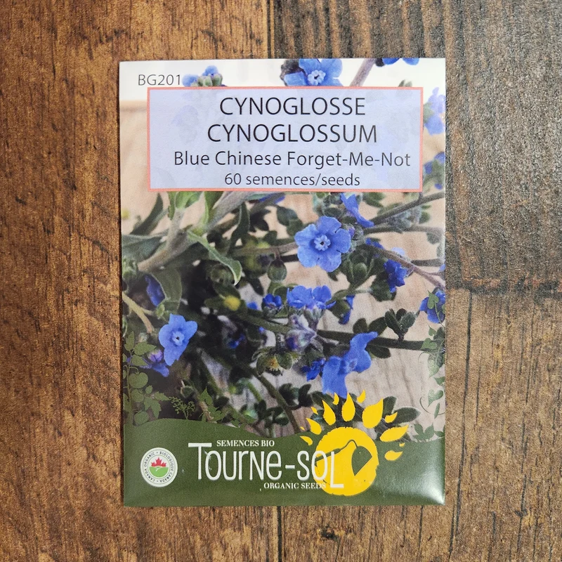 Cynoglossum ‘Blue Chinese Forget-Me-Not’ ( Cynoglossum amabile )