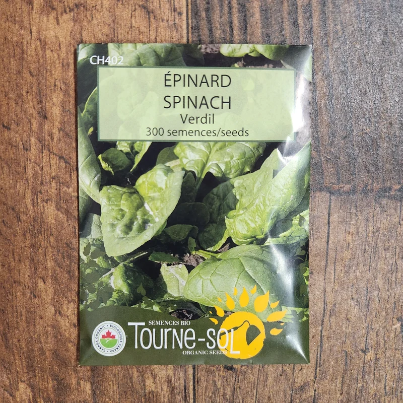 Épinard ‘Verdil’ ( Spinacia oleracea )
