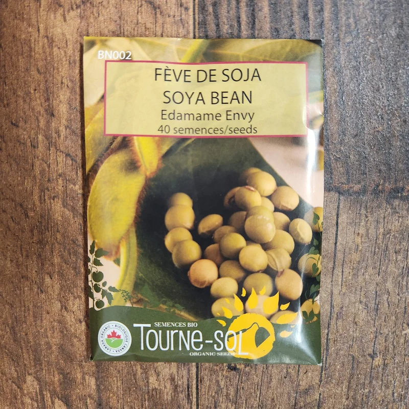 Fève de soja ‘Edamame Envy’ ( Glycine max )