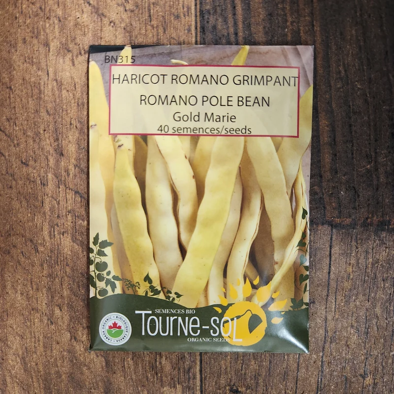 Haricot romano grimpant ‘Gold Marie’ ( Phaseolus vulgaris )