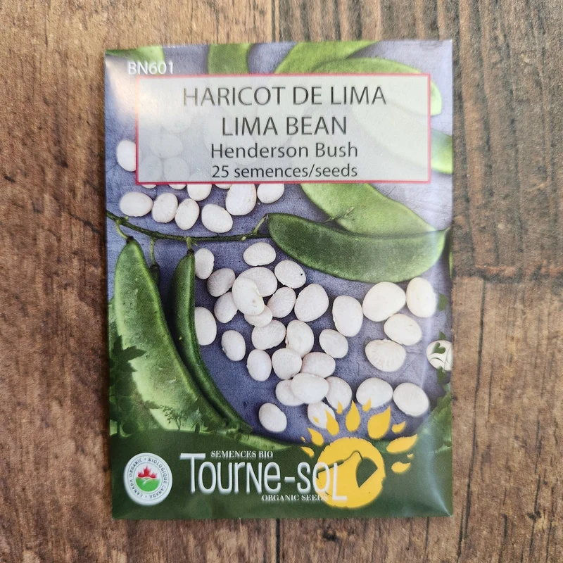 Haricot de Lima ‘Henderson Bush’ ( Phaseolus lunatus )