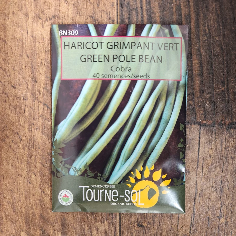 Haricot grimpant ‘Cobra’ ( Phaseolus vulgaris )