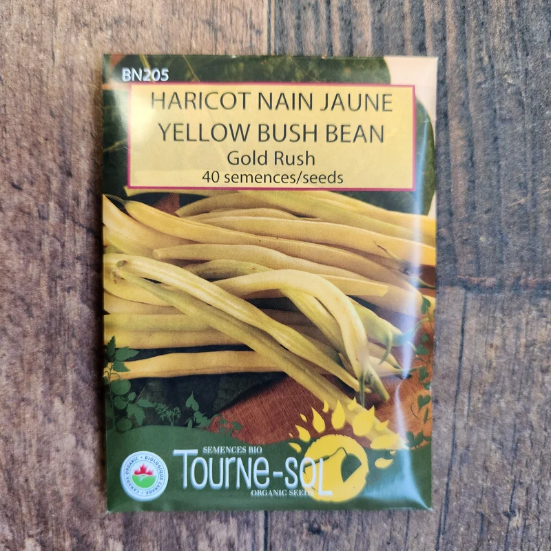 Haricot nain jaune ‘Gold Rush’ ( Phaseolus vulgaris )