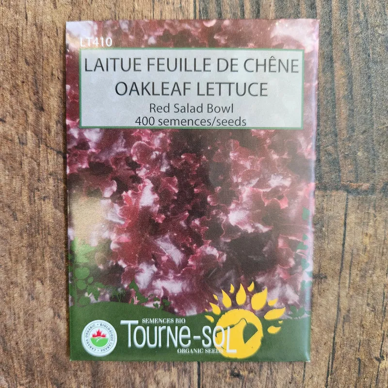 Laitue feuille de chêne ‘Red Salad Bowl’ ( Lactuca sativa )