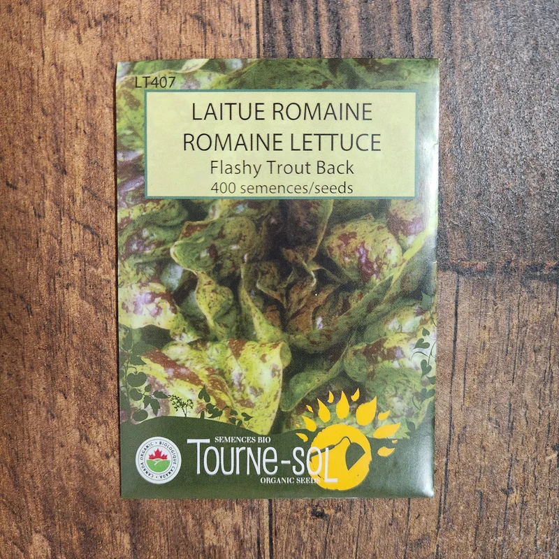 Laitue romaine ‘Flashy Trout Back’ ( Lactuca sativa )