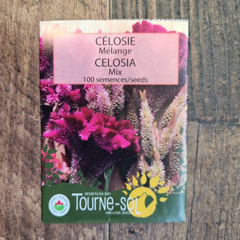 Mélange de célosies ( Celosia cristata )