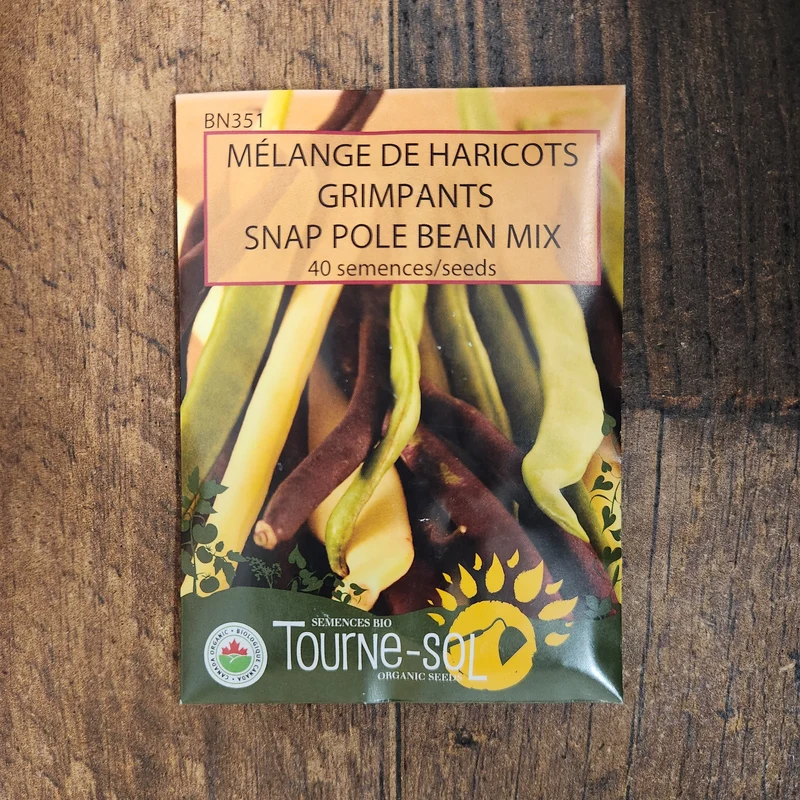 Mélange de haricots grimpants ( Phaseolus vulgaris )