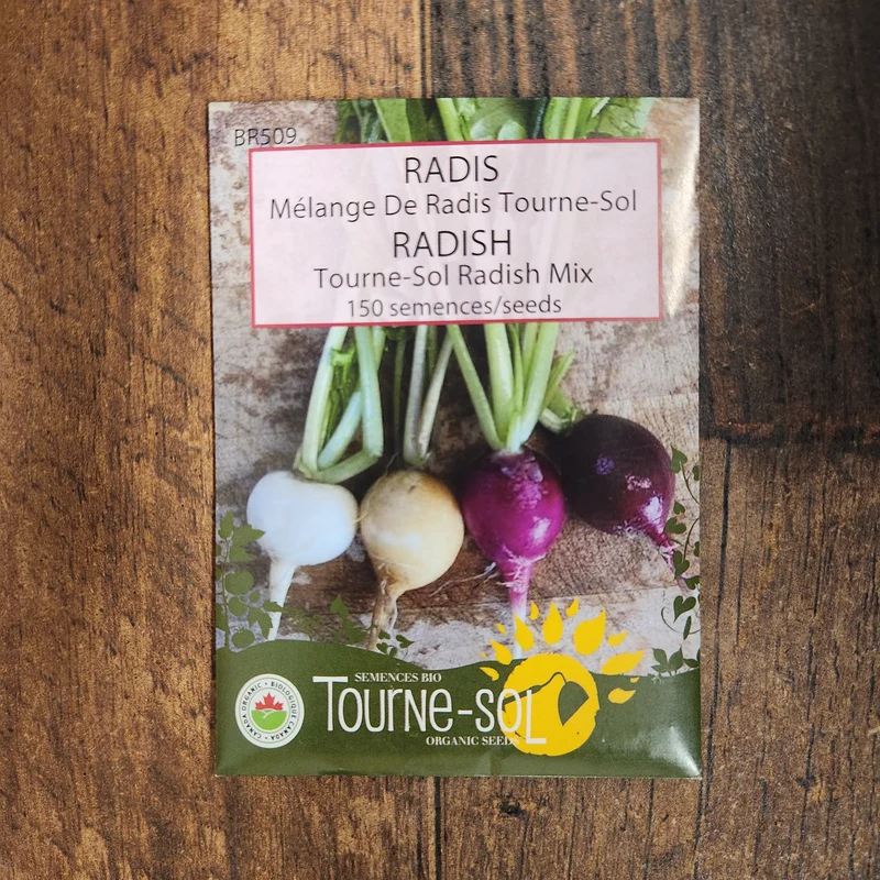 Mélange de radis ‘Tourne-Sol’ ( Raphanus sativus )