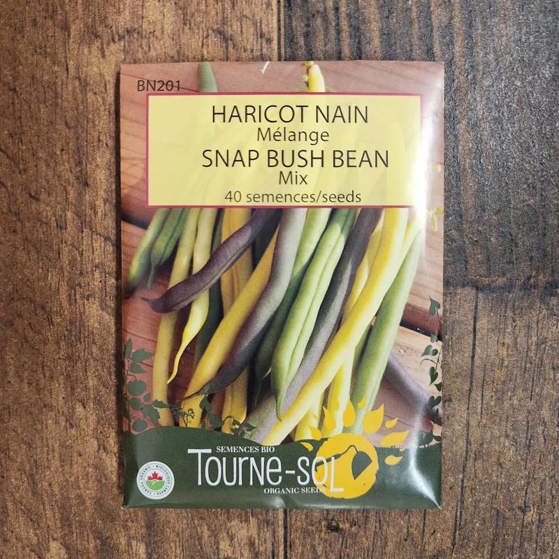 Mélange de haricots nains ( Phaseolus vulgaris )