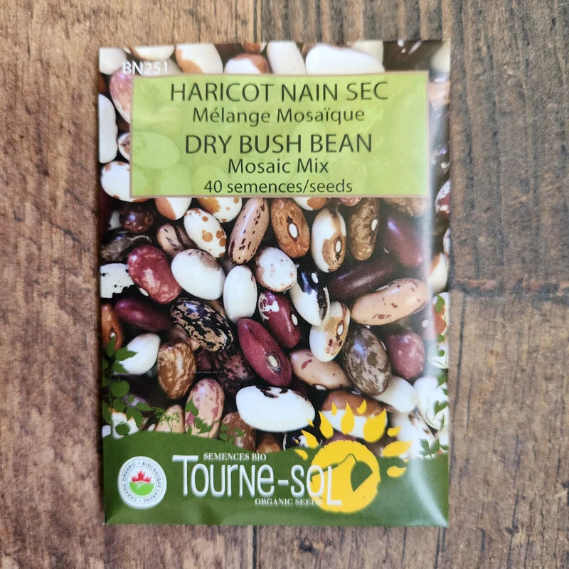 Mélange mosaïque de haricots nains secs ( Phaseolus vulgaris )