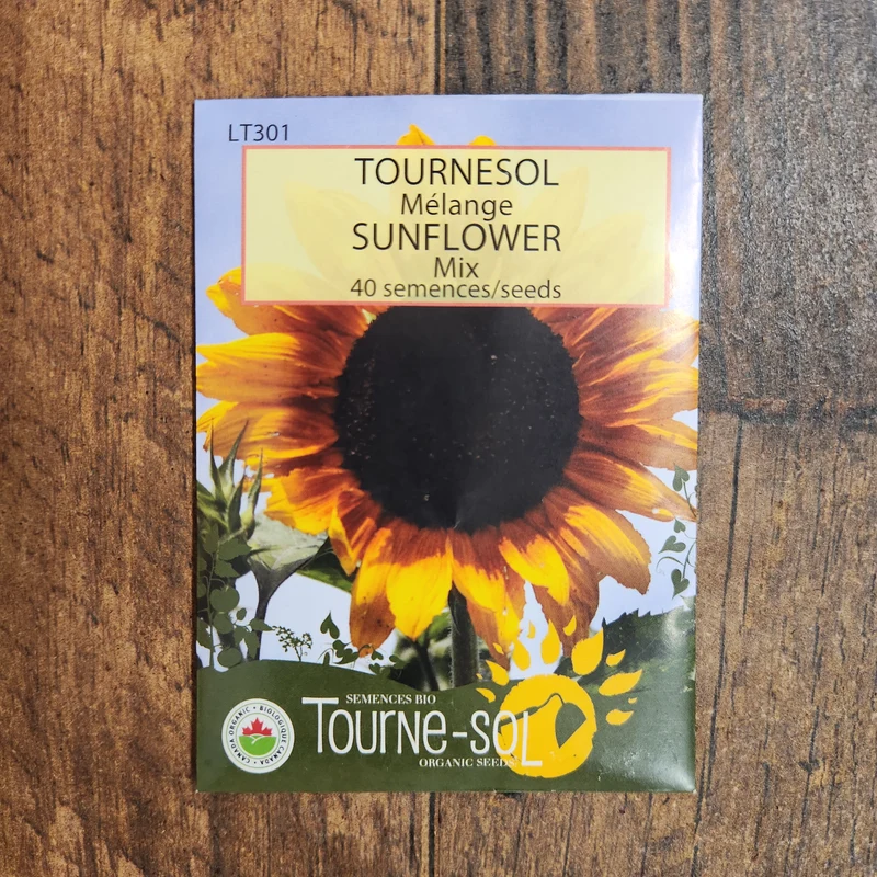 Mélange de tournesols ( Helianthus annuus )