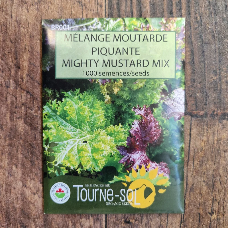 Mélange de moutardes piquantes ( Brassica juncea )