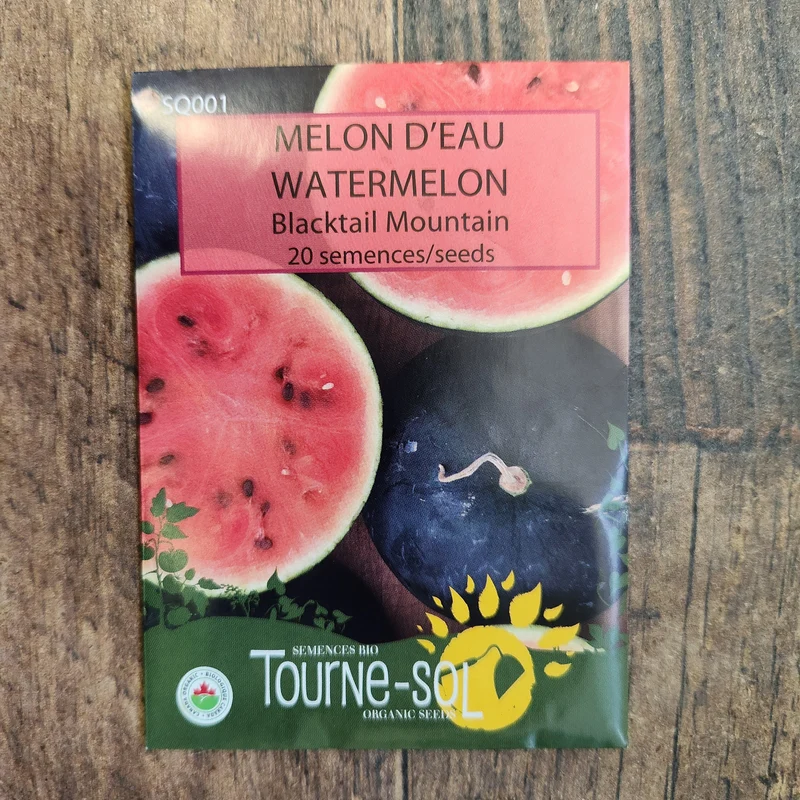 Melon d’eau ‘Blacktail Mountain’ ( Citrullus lanatus )