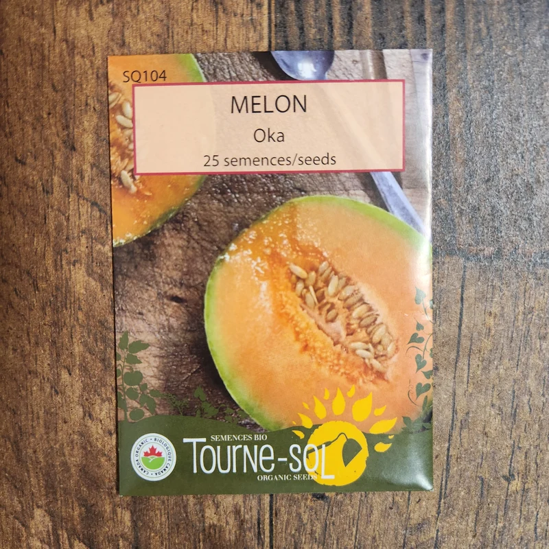 Melon ‘Oka’ ( Cucumis melo )