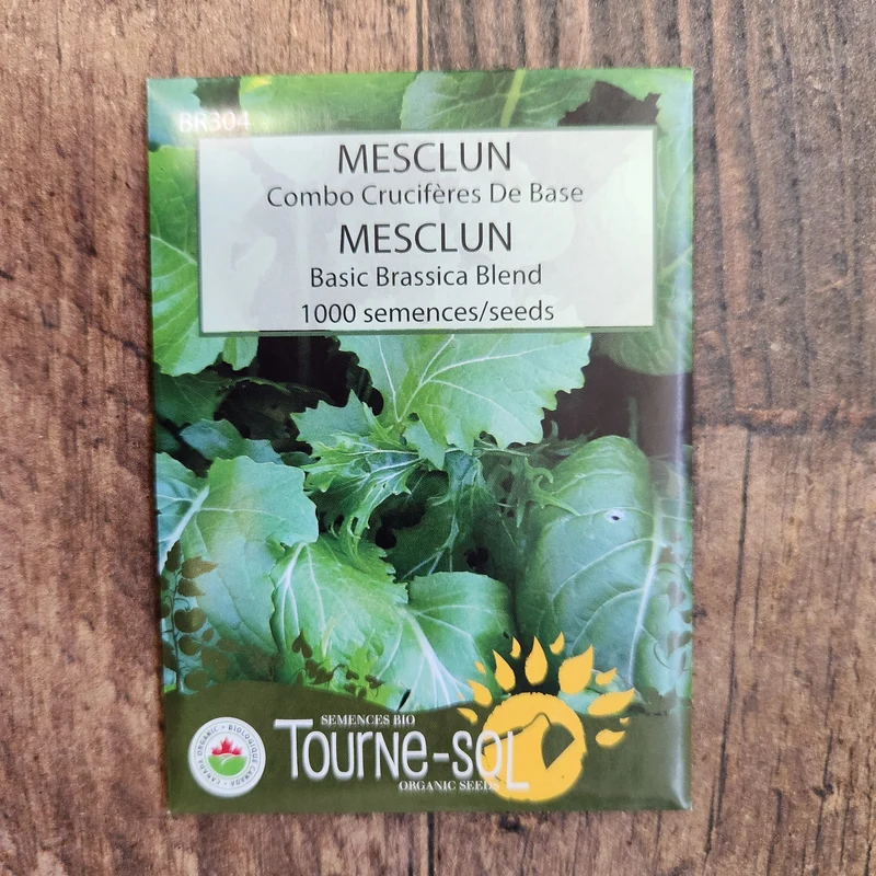 Mesclun ‘Combo Crucifères de base’ ( Brassica spp. )